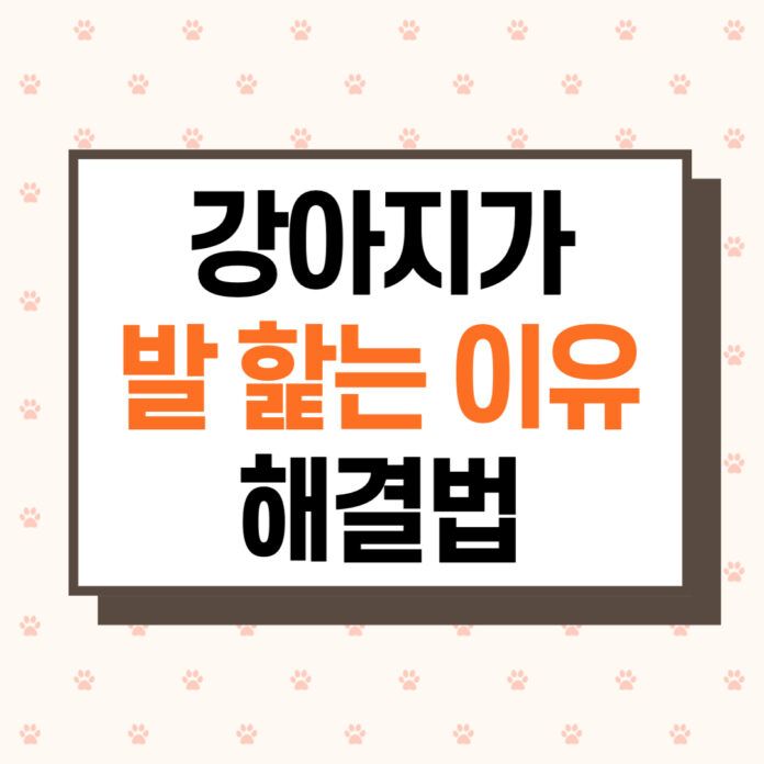 강아지 발 핥는 이유