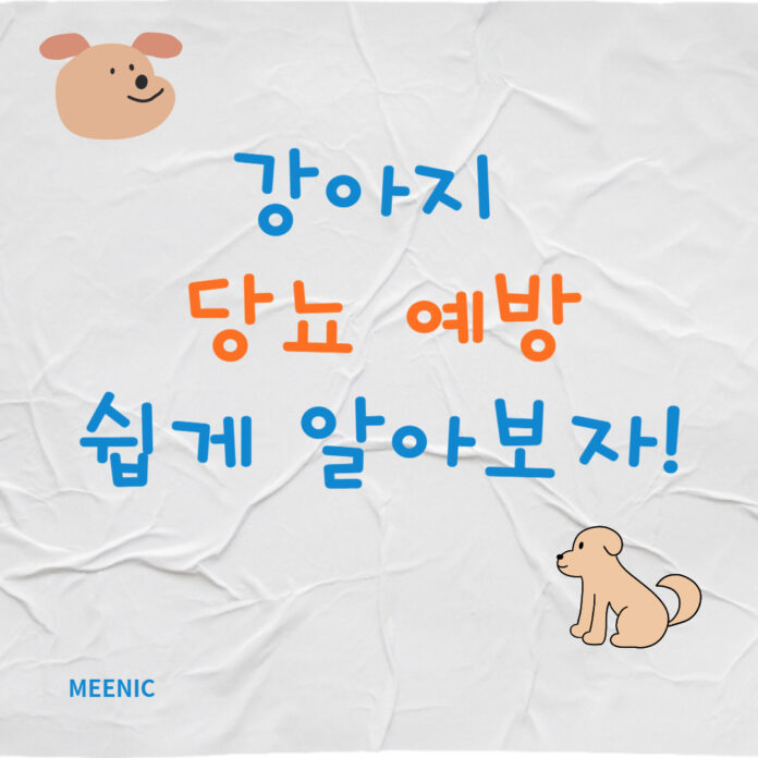 강아지 당뇨 예방